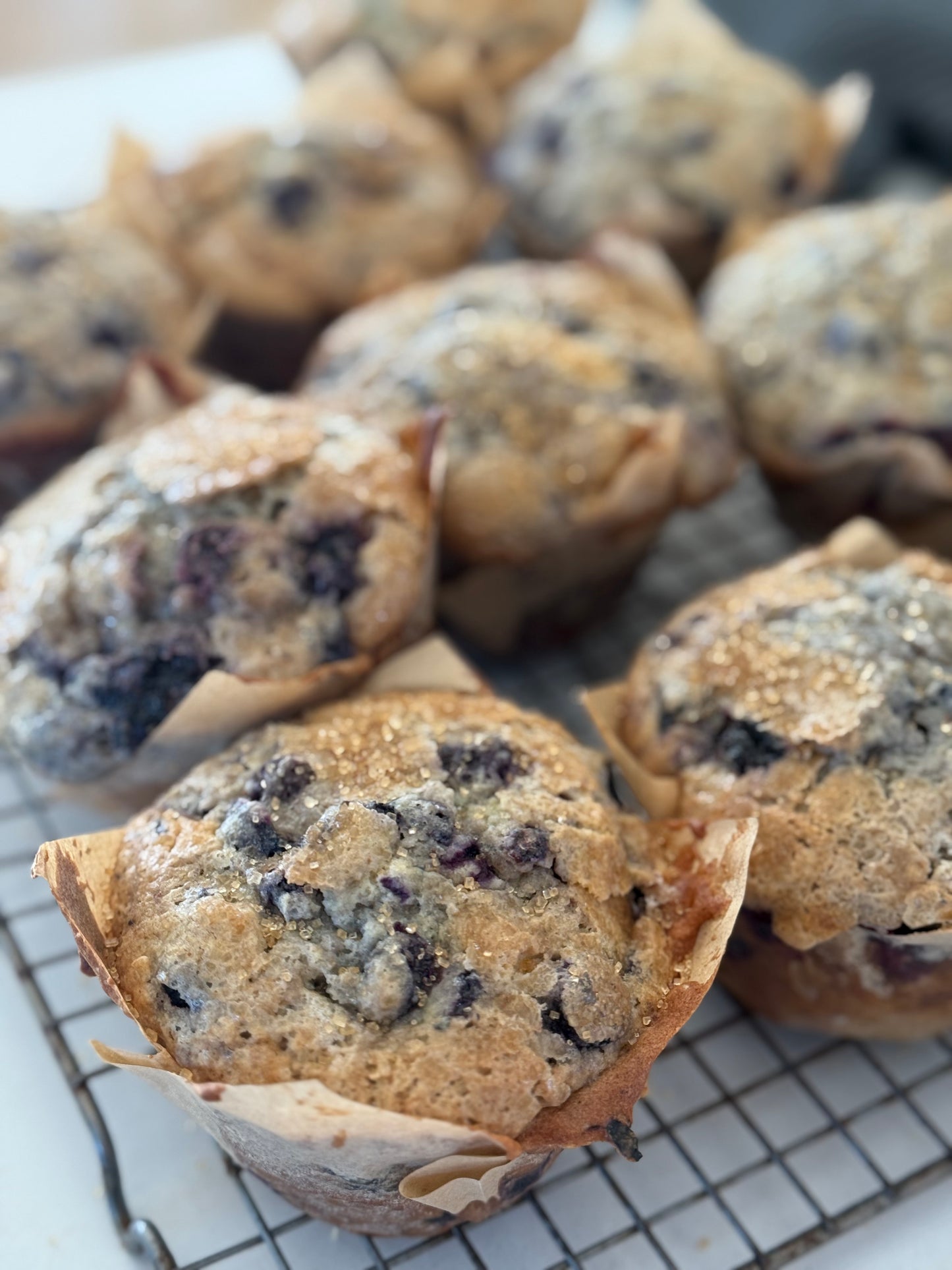 Biatchy’s Signature B Muffins