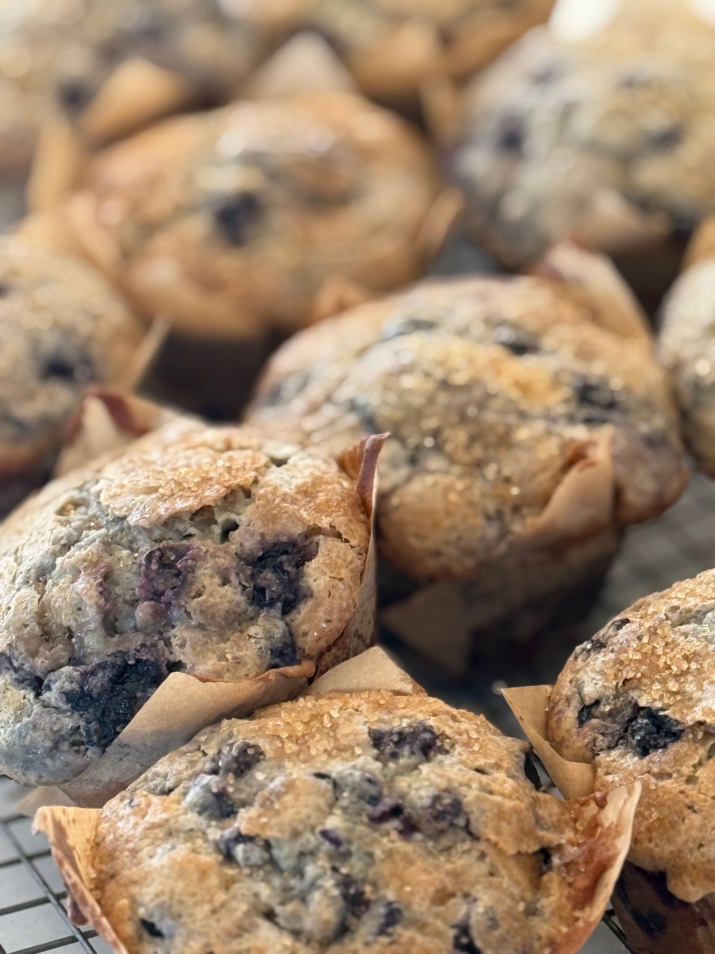 Biatchy’s Signature B Muffins